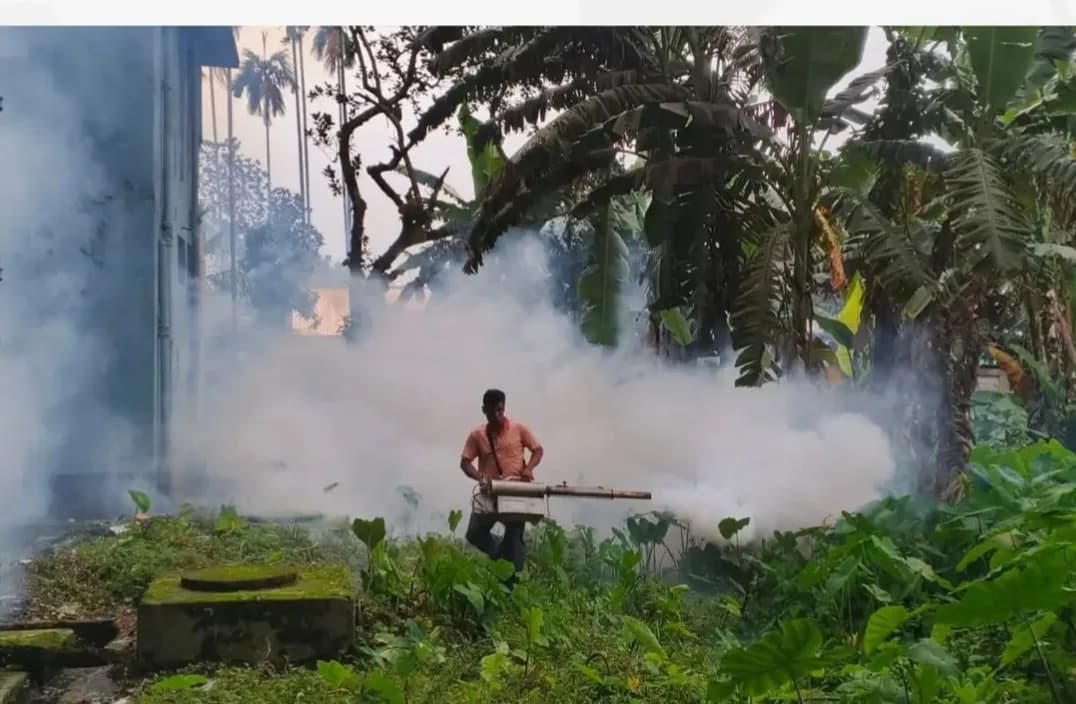 ফুলপুর পৌরসভায়,মশক নিধন কার্যক্রম জোরদার