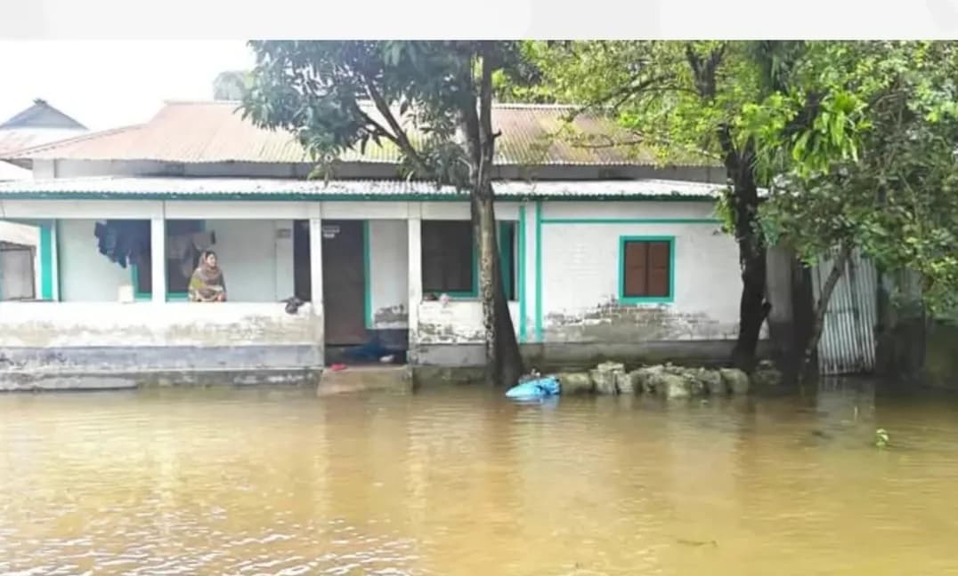 উন্নয়নের গল্প কাগজে, বাস্তবে সামান্য বৃষ্টিতেই জমে হাঁটু পানি