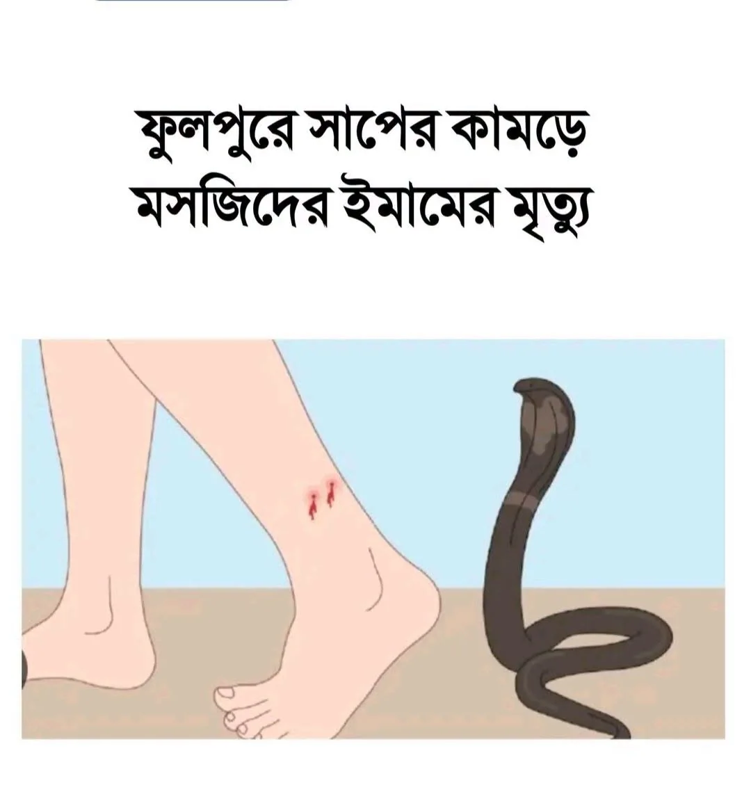 ফুলপুরে গোখরা সাপের কামড়ে মসজিদের ইমামের মৃত্যু, এলাকাজুড়ে শোক